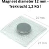 Innaaibare Magneten Waterdicht - 10 Stuks Ø 12 Mm - Magneten Voor Gordijnen Om In Te Naaien In Stof - Houdkracht 1,2 KG