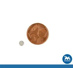 MENSINQ – Magneten – Magneet – Magneetjes – Magneten Sterk – Magneten Whiteboard – Magneten Koelkast – Sterke Magneten – N50 – 5x2mm – 50 Stuks -Makita Winkel 1200x1116 10