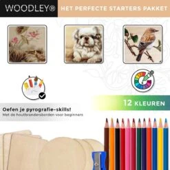 Houtbrander Set - 71 Delig - Soldeerbout - Pyrografie - Houtbrander Voor Hobby - Soldeerset -Makita Winkel 1200x1200 19