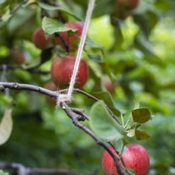 Jute Touw 110 Meter X 2 Mm 250 Gram 18 Jute Touw 110 Meter X 2 Mm 250 Gram -Makita Winkel 1200x1200 2218