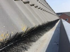 Vogelweringborstel Doos 12 Stuks - Totaal 12 Meter - Ø 12 CM - Anti Vogel Borstels - Vogelwering Zonnepanelen 5 Vogelweringborstel Doos 12 Stuks - Totaal 12 Meter - Ø 12 CM - Anti Vogel Borstels - Vogelwering Zonnepanelen -Makita Winkel 1200x900 266