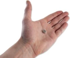 Brute Strength - Super Sterke Magneten - Rond - 10 X 5 Mm - 20 Stuks - Geschikt Voor Radiatorfolie - Neodymium Magneet Sterk - Voor Koelkast - Whiteboard -Makita Winkel 1200x992 9