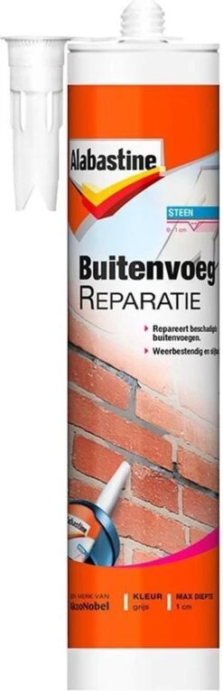 Alabastine Buitenvoegreparatie - 310 Ml